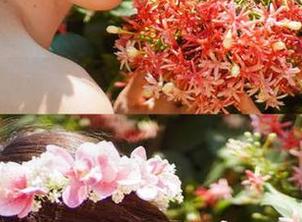 Xiuren秀人网 – 与熊小诺一同庆祝圣诞，精彩写真作品等你下载，尽享节日气氛！