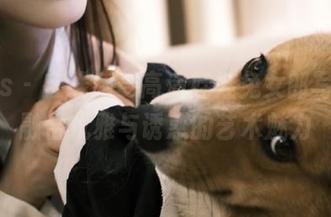 pans – 在线感受高清娃娃兔女郎写真，融合优雅与诱惑的艺术魅力