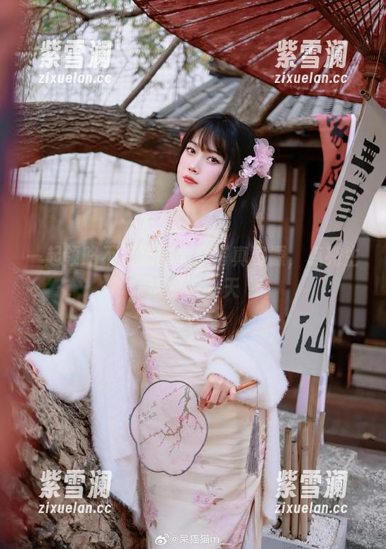 不呆猫 一起领略不呆猫的瑜伽写真资源,点亮生活的每一天