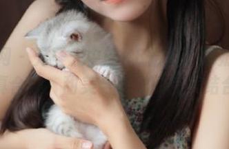 尤果网 – 无圣光中的K8傲娇萌萌奶牛写真合集，甜美与叛逆的完美结合