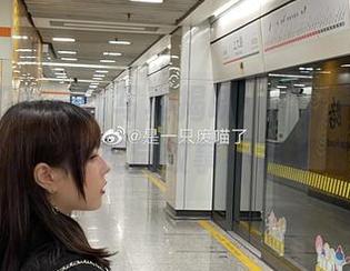 冬の太阳的最新写真揭晓：“是一只废喵了”的视觉故事不容错过