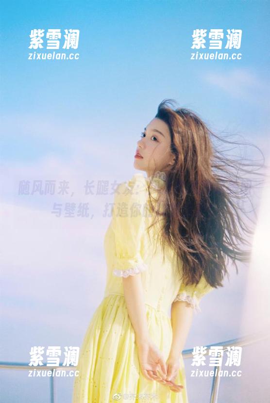 随风而来，长腿女友：风之领域独家美图与壁纸，打造你的视觉盛宴！